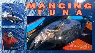 MANCING TUNA DI LAUT BANDA