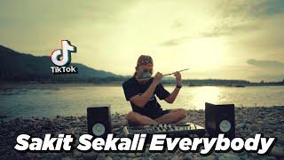 SAKIT SEKALI EVERYBODY x STEREO LOVE SLOW REMIX DJ Desa