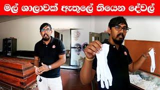 මල් ශාලාවක් ඇතුලේ තියෙන දේවල්   Nava vlog #49