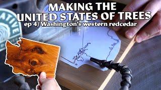 Washingtons Western Redcedar  Making the United States out of Native Trees