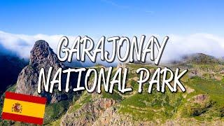 Garajonay National Park - UNESCO World Heritage Site