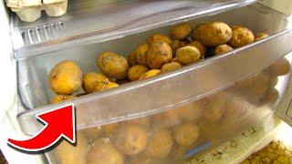 Top 15 Foods You Should NEVER Put In The FRIDGE