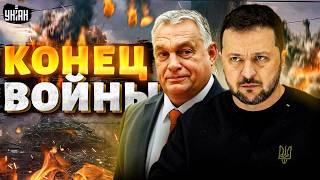 Конец войны Зеленский назвал условия переговоров. Дружку Путина Орбану это не понравилось