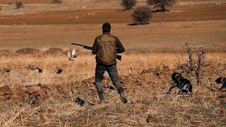2021  22 Sezonu İlk Keklik Avı Partridge Hunting