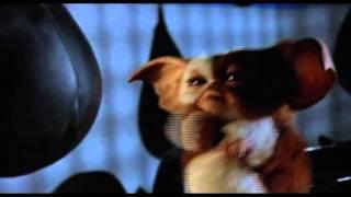 gizmo se venge gremlins