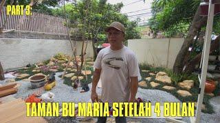 PART 3  TAMAN BU MARIA SETELAH 4 BULAN