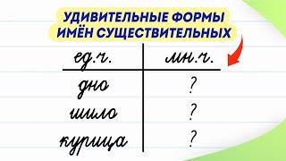 Как сказать эти слова во множественном числе? Проверьте себя  Русский язык