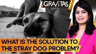 Gravitas  Indias stray dog menace Who is the villain?  WION