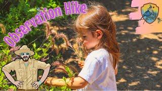 Childrens Nature Hike  5 Senses for Kids