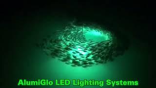 Alumiglo Underwater Lights Attract Fish