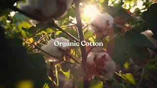 Ecologyst Fibres l 100% Organic Cotton