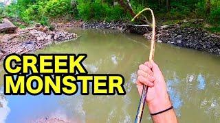 70 LB MONSTER in a TINY CREEK INSANE