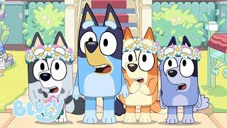 Bluey The Sign Official Trailer    Bluey