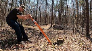 10 Best Ways to Remove Tree Stumps