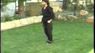 kung fu joseph merheb