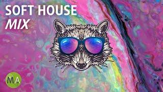 Deep Focus Upbeat Study Music Soft House Raccoon Mix Isochronic Tones