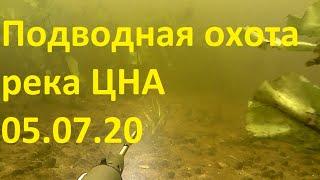 Подводная охота на реке Цна. 05.07.20г.