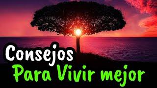 Los Mejores Consejos Para Vivir Mejor ¦ Gratitud Frases Reflexiones Versos Reflexión