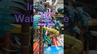 The World’s Tallest Indoor Water Slide #shorts