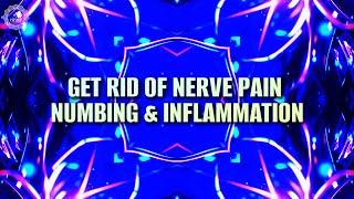 Get Rid Of Nerve Pain Numbing & Inflammation  Repair Nerve Damage In Whole Body 174 Hz Pain Relief