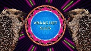 VRAAG HET SUUS - EGELS