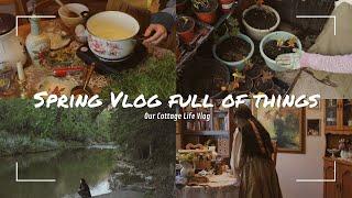 Spring Vlog Full of Things  Cozy and Slow life   🪴 