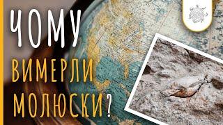 Яка причина масової загибелі двостулкових молюсків?  Німі свідки Всесвітнього потопу #1