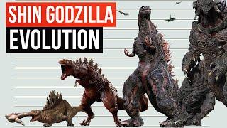 Evolution Of Shin Godzilla  Size Comparison