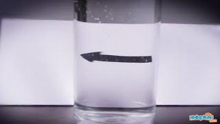 Refraction of Light in Water - Cool Science Experiment for Kids   Kids Education by Mocomi