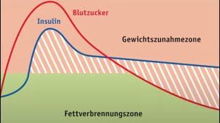 DE - 27.06.24 - Product Thursday Topic Teil 2 Fettverbrennung & Gewichtsmanagement