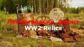 Немецкие позиции 6 лет спустя. 18+.WWII Metal Detecting