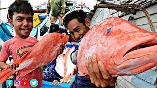 Gila. Mancing beberapa hari aja hasilnya Sebanyak dan Sebesar ini ikan nya