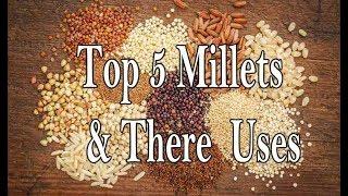 TOP 5  Millets & There Uses  Include These 5 Millets in your Diet 
