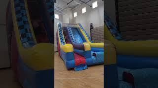 Giant Slide Inflatable rental in Minneapolis St Paul Minnesota from Affordable Inflatables