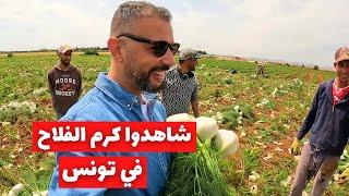 شاهدوا كرم الفلاح و الفلاحين في تونس