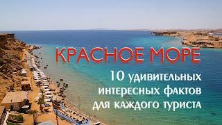 10 интересных фактов про Красное Море. Египет 2021.