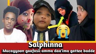 Salphinna Mucayyoon gaafas cinqamaa turte amma daaima Namarratti gattee badde