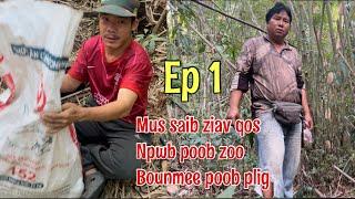 Npwb poob zoo Bounmee poob plig 22022023