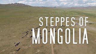 STEPPES OF MONGOLIA Landscape Video Series - Amazing 4KUltra HD Aerial Scenery