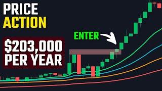 The Trading Strategy That Made $203000 In 2023