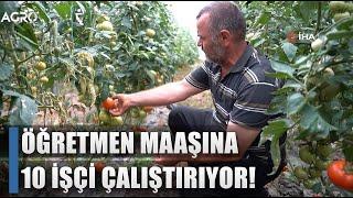 Öğretmenliği Bıraktı Çiftçiliğie Başladı Çok Daha Fazla Kazanıyorum  AGRO TV HABER