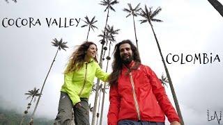 Full Hike through the Cocora Valley  Home to the Tallest Palm Trees in the World