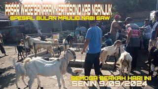 UPDATE ‼️ SEMUA KAMBING HARI INI PASAR BANARAN KEC KERTOSONO KAB NGANJUK JAWA TIMUR