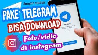 Cara Download Foto  Video Instagram Menggunakan Telegram