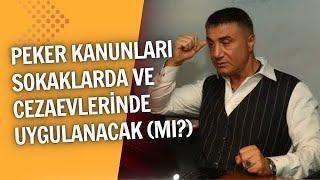 DİNCİ İRAN REJİMİ YIKILACAK ALİ TARAKCI