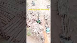 Loading Some Hardwood With. A John Deere Loader