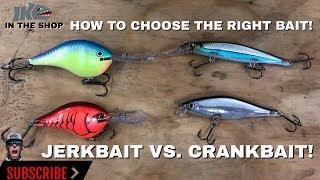 Jerkbait Vs Crankbait How to CHOOSE the RIGHT BAIT