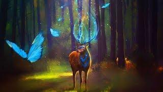 Enchanted Forest Music 528Hz  Brings Positive Transformation  Mystical Forest Sounds