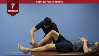 Popliteus Muscle Test Palp Dr Nikita Vizniak Muscle Manual