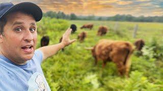 Touring a Vermont Hill Farm  360 VR Farm Tour